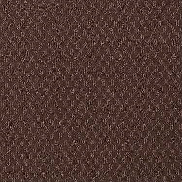 Elements Commercial Carpet by Philadelphia Commercial in the color Chatter Box. Sample of browns carpet pattern and texture.