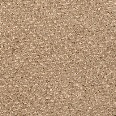 Elements Commercial Carpet by Philadelphia Commercial in the color Paper Sack. Sample of browns carpet pattern and texture.