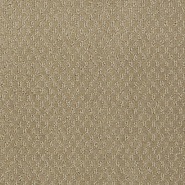 Elements Commercial Carpet by Philadelphia Commercial in the color Sierra. Sample of browns carpet pattern and texture.