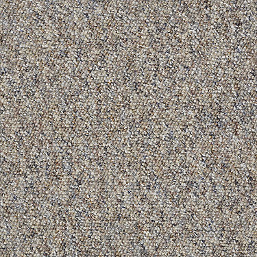 Chart Topper 12' Commercial Carpet by Philadelphia Commercial in the color Harbor Mist. Sample of browns carpet pattern and texture.