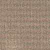 World Wide Commercial Carpet by Philadelphia Commercial in the color Cairo. Sample of beiges carpet pattern and texture.
