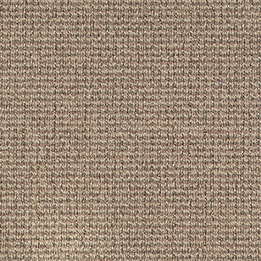 World Wide Commercial Carpet by Philadelphia Commercial in the color Cairo. Sample of beiges carpet pattern and texture.