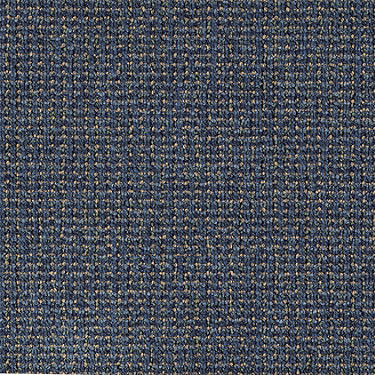 World Wide Commercial Carpet by Philadelphia Commercial in the color Rio. Sample of blues carpet pattern and texture.