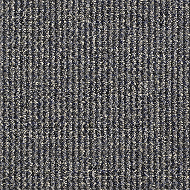 World Wide Commercial Carpet by Philadelphia Commercial in the color St. Petersburg. Sample of grays carpet pattern and texture.