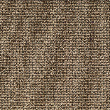 World Wide Commercial Carpet by Philadelphia Commercial in the color Melbourne. Sample of browns carpet pattern and texture.