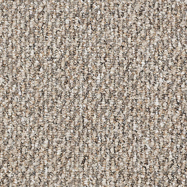 Sequence Commercial Carpet by Philadelphia Commercial in the color Start To Finish. Sample of browns carpet pattern and texture.