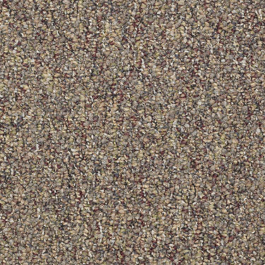 Sequence Commercial Carpet by Philadelphia Commercial in the color Top To Bottom. Sample of browns carpet pattern and texture.