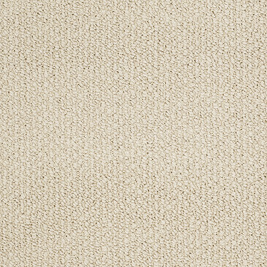 Careless Whisper Residential Carpet by Anderson Tuftex in the color French Vanilla. Sample of beiges carpet pattern and texture.