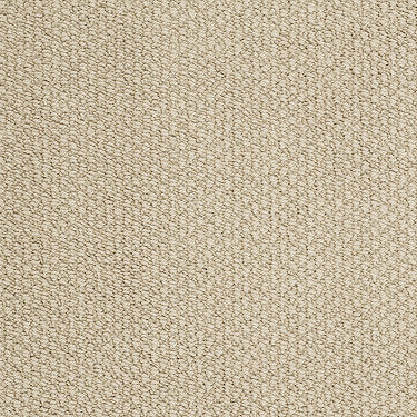 Careless Whisper Residential Carpet by Anderson Tuftex in the color Nutty Beige. Sample of beiges carpet pattern and texture.