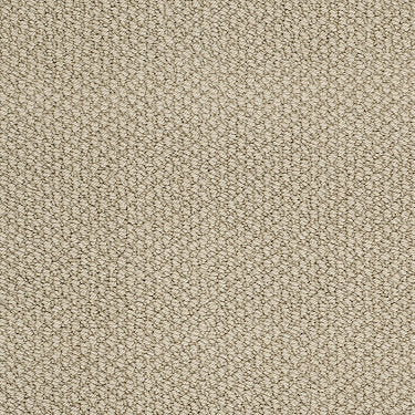 Careless Whisper Residential Carpet by Anderson Tuftex in the color Gentle Doe. Sample of beiges carpet pattern and texture.