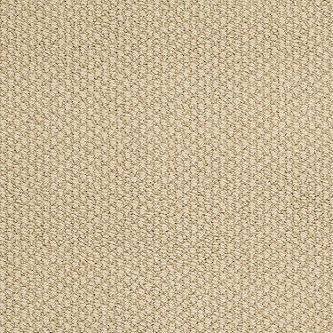 Careless Whisper Residential Carpet by Anderson Tuftex in the color Buttercup. Sample of golds carpet pattern and texture.
