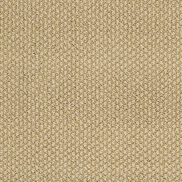 Careless Whisper Residential Carpet by Anderson Tuftex in the color Spun Gold. Sample of golds carpet pattern and texture.