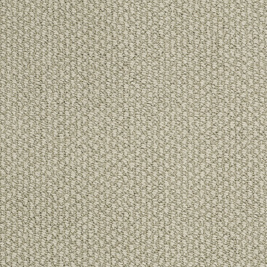 Careless Whisper Residential Carpet by Anderson Tuftex in the color Desert Sage. Sample of greens carpet pattern and texture.