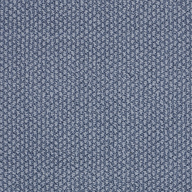 Careless Whisper Residential Carpet by Anderson Tuftex in the color Dutch Blue. Sample of blues carpet pattern and texture.