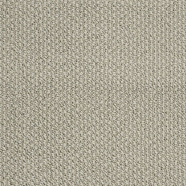 Careless Whisper Residential Carpet by Anderson Tuftex in the color Shalestone. Sample of grays carpet pattern and texture.