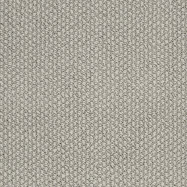 Careless Whisper Residential Carpet by Anderson Tuftex in the color Silver Spoon. Sample of grays carpet pattern and texture.