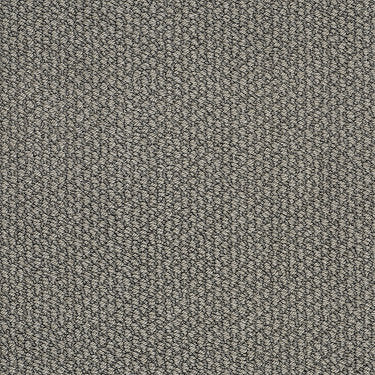 Careless Whisper Residential Carpet by Anderson Tuftex in the color Granite. Sample of grays carpet pattern and texture.