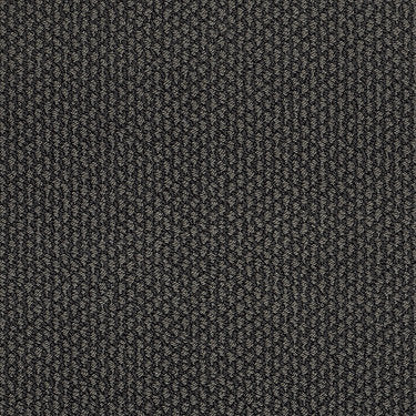 Careless Whisper Residential Carpet by Anderson Tuftex in the color Antique Tin. Sample of grays carpet pattern and texture.