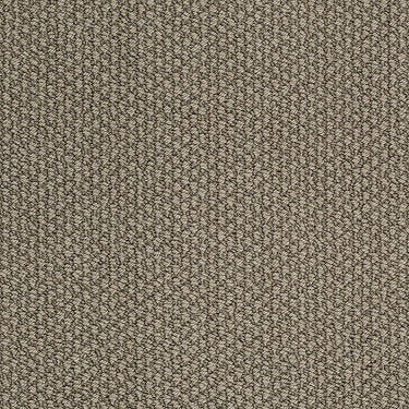 Careless Whisper Residential Carpet by Anderson Tuftex in the color Smoky Gray. Sample of grays carpet pattern and texture.