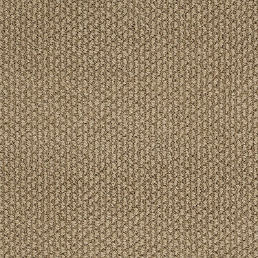 Careless Whisper Residential Carpet by Anderson Tuftex in the color Creamy Cocoa. Sample of browns carpet pattern and texture.