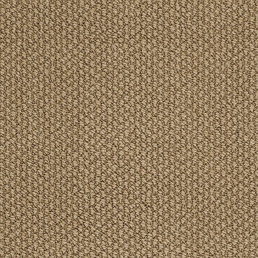 Careless Whisper Residential Carpet by Anderson Tuftex in the color Praline. Sample of browns carpet pattern and texture.