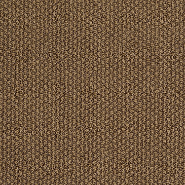 Careless Whisper Residential Carpet by Anderson Tuftex in the color Rich Brown. Sample of browns carpet pattern and texture.