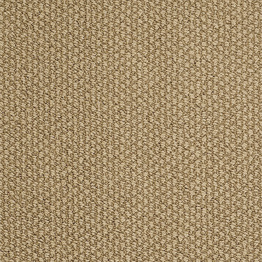 Careless Whisper Residential Carpet by Anderson Tuftex in the color Gingersnap. Sample of browns carpet pattern and texture.