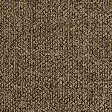 Careless Whisper Residential Carpet by Anderson Tuftex in the color Bon Bon. Sample of browns carpet pattern and texture.