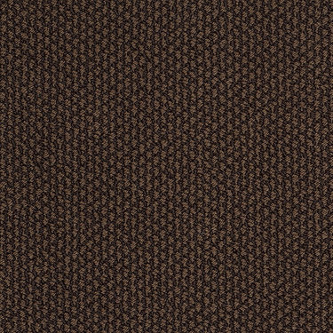 Careless Whisper Residential Carpet by Anderson Tuftex in the color Fudge Sundae. Sample of browns carpet pattern and texture.