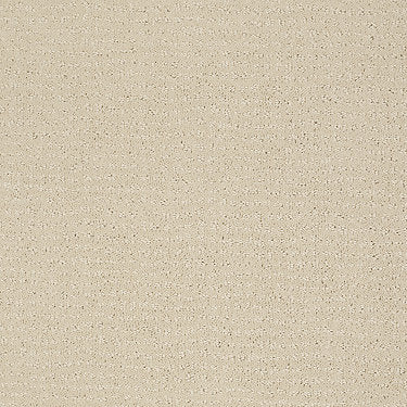 Vibe Residential Carpet by Anderson Tuftex in the color Macadamia. Sample of beiges carpet pattern and texture.