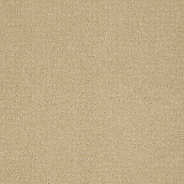 Vibe Residential Carpet by Anderson Tuftex in the color Chamomile. Sample of golds carpet pattern and texture.