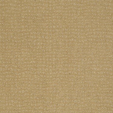 Vibe Residential Carpet by Anderson Tuftex in the color Summer Melon. Sample of golds carpet pattern and texture.