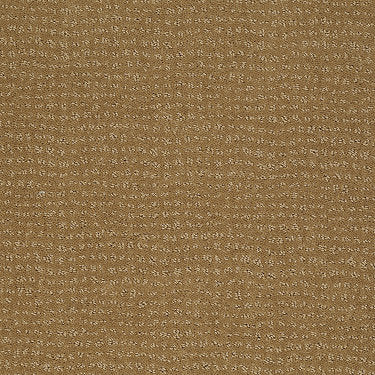 Vibe Residential Carpet by Anderson Tuftex in the color Starfish. Sample of golds carpet pattern and texture.