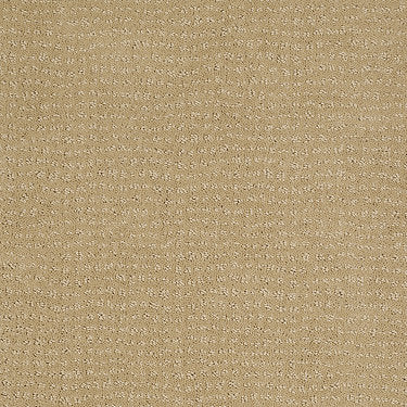 Vibe Residential Carpet by Anderson Tuftex in the color Golden Fleece. Sample of golds carpet pattern and texture.