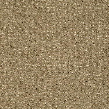 Vibe Residential Carpet by Anderson Tuftex in the color Sahara Sun. Sample of golds carpet pattern and texture.