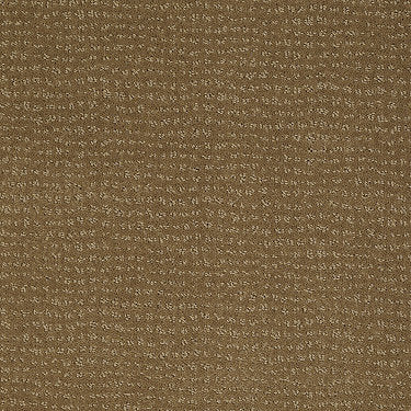 Vibe Residential Carpet by Anderson Tuftex in the color Medal Bronze. Sample of golds carpet pattern and texture.