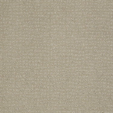 Vibe Residential Carpet by Anderson Tuftex in the color Alpaca. Sample of grays carpet pattern and texture.
