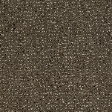 Vibe Residential Carpet by Anderson Tuftex in the color Oregon Trail. Sample of grays carpet pattern and texture.