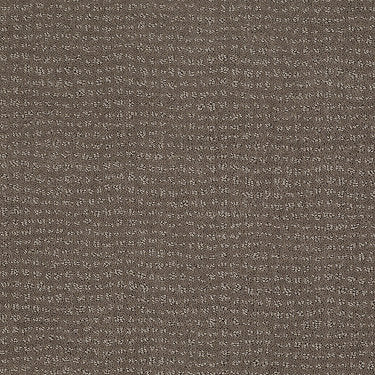 Vibe Residential Carpet by Anderson Tuftex in the color Glacial Rock. Sample of grays carpet pattern and texture.