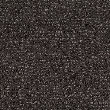 Vibe Residential Carpet by Anderson Tuftex in the color Falcon. Sample of grays carpet pattern and texture.