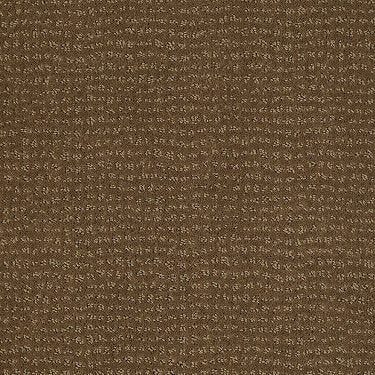 Vibe Residential Carpet by Anderson Tuftex in the color Toasted Coconut. Sample of browns carpet pattern and texture.
