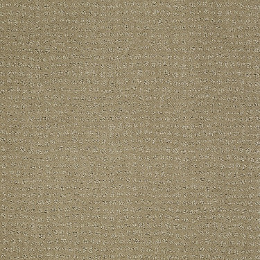 Vibe Residential Carpet by Anderson Tuftex in the color Fennel. Sample of browns carpet pattern and texture.