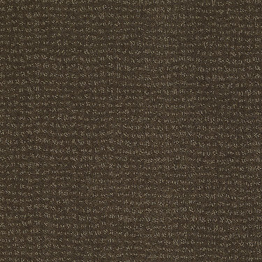 Vibe Residential Carpet by Anderson Tuftex in the color Shitake. Sample of browns carpet pattern and texture.