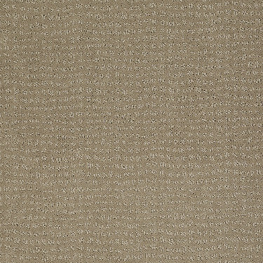 Vibe Residential Carpet by Anderson Tuftex in the color Hazy. Sample of browns carpet pattern and texture.