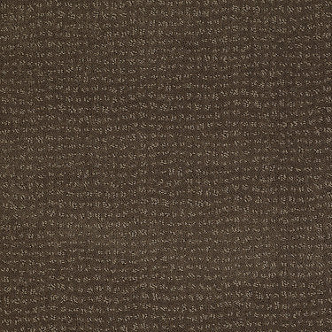 Vibe Residential Carpet by Anderson Tuftex in the color Timberline. Sample of browns carpet pattern and texture.
