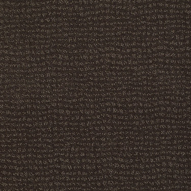 Vibe Residential Carpet by Anderson Tuftex in the color Dark Earth. Sample of browns carpet pattern and texture.
