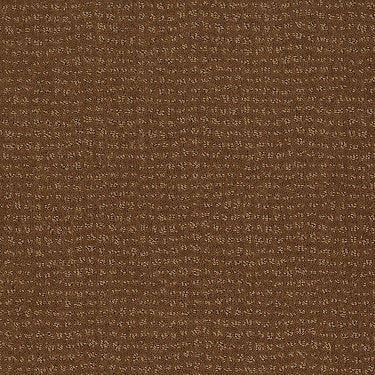 Vibe Residential Carpet by Anderson Tuftex in the color Roman Brick. Sample of browns carpet pattern and texture.
