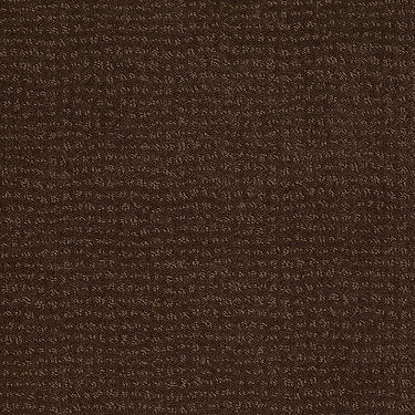 Vibe Residential Carpet by Anderson Tuftex in the color Nutmeg. Sample of browns carpet pattern and texture.