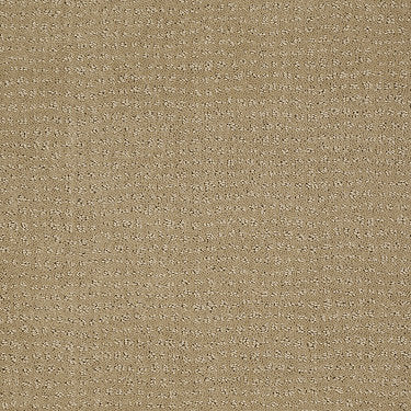 Vibe Residential Carpet by Anderson Tuftex in the color Marzipan. Sample of browns carpet pattern and texture.