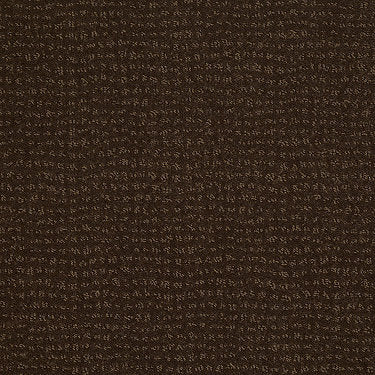 Vibe Residential Carpet by Anderson Tuftex in the color Cub. Sample of browns carpet pattern and texture.